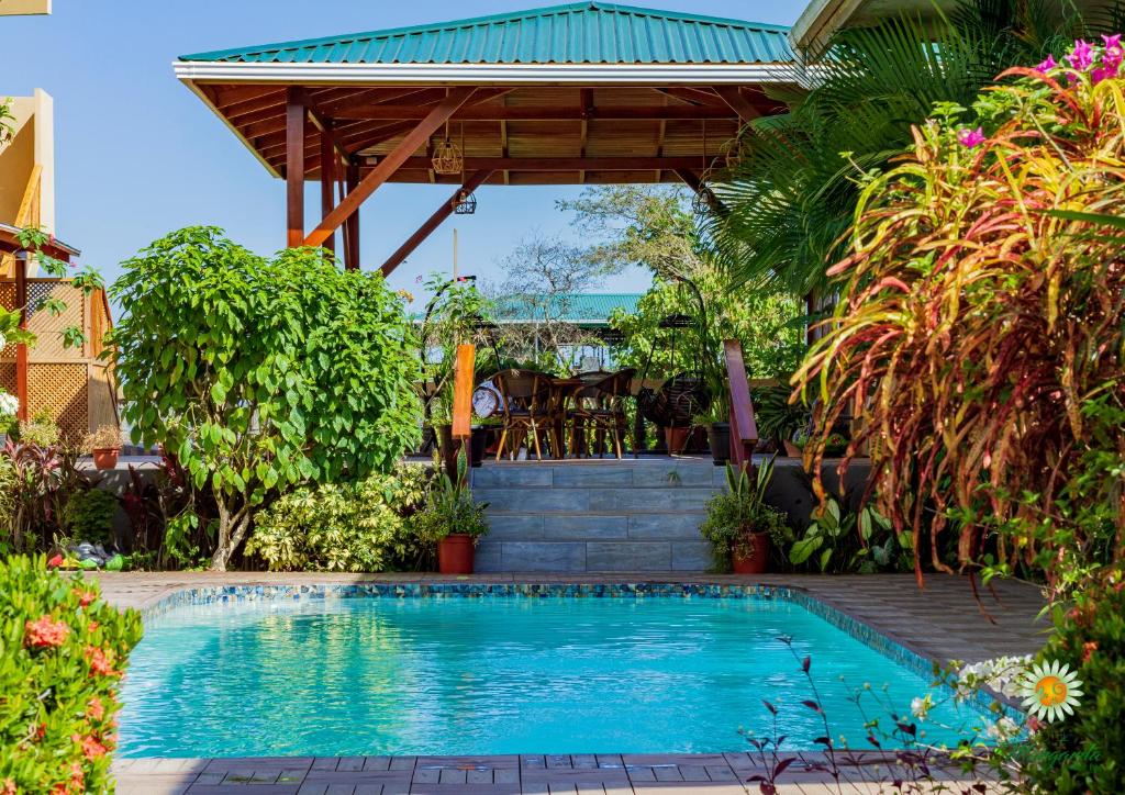 Un jardín con una piscina al aire libre y una cobertizo de madera debajo un techo de luz. {{ Un jardín con una piscina y u...